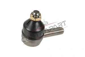 Erkek Rot Başı  CTP470396