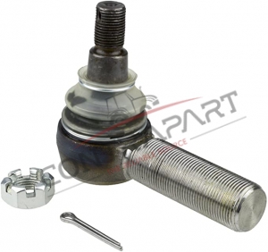 Erkek Rot Başı  CTP470969