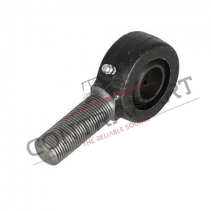 Erkek Rot Başı  CTP470991