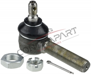 Erkek Rot Başı  CTP470997