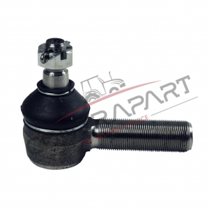 Rot Başı CTP471099