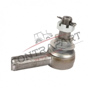 Erkek Rot Başı  CTP471425