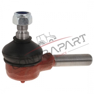 Erkek Rot Başı  CTP471536
