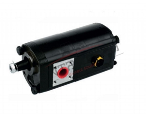 Hidrolik Pompa CTP400017