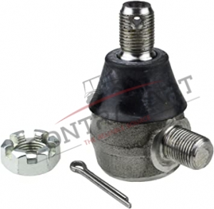 Erkek Rot Başı  CTP471359